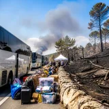 Incendies et canicule : le système assurantiel français confronté à des dommages massifs et des limites structurelles