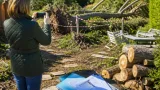 Tempête Austen : que couvre l'assurance habitation quand les arbres du jardin sont arrachés ?