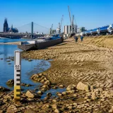 Le Rhin atteint un niveau historique bas : risque majeur pour l'industrie et la logistique européenne