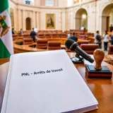 Le Parlement d'Andalousie invité à condamner la stigmatisation des arrêts maladie après les propos de Feijóo
