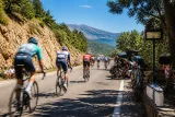 Pogacar impose sa loi, Armirail regrette une course « spéciale » et la chaleur