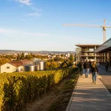 Le chômage recule en La Rioja : 1.100 demandeurs d’emploi de moins, le taux à 8,77%