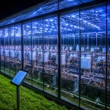 Une serre japonaise produit de l’électricité avec de la terre et du compost, piste pour la résilience