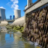 Record d’indisponibilités environnementales : l’été 2026 met le parc nucléaire français à l’épreuve