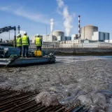Afflux de méduses à Gravelines : un réacteur arrêté et la production nucléaire fragilisée cet été