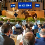 Arqana trot : vente de yearlings à Deauville, un record à plus de 11 millions d’euros