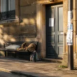 Un retraité expulsé à Dijon, trois semaines sur un banc : quand l'impayé bascule en exclusion