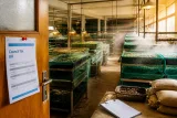 Élevages d'escargots : quand une exonération agricole permet d'échapper à la taxe foncière britannique