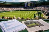 Zverev rejoint la finale de Wimbledon après avoir dominé la révélation britannique Féry