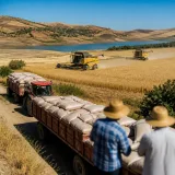 Le Maroc table sur une croissance portée par l'agriculture à 4,8% en 2026