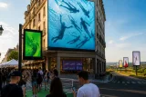 Yomoni, Crédit Agricole, FranceTV Publicité : quatre campagnes qui jouent la visibilité cet été