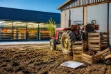 Les marges repartent à la hausse mais les revenus agricoles plongent en 2024, alerte l’OFPM