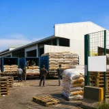 Le prix du maïs fourrager en Tunisie abaissé à 863 dinars/tonne pour soutenir les éleveurs