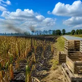 Sécheresse et incendies : risques sérieux pour les fruits, légumes et maïs, et hausse des prix alimentaires