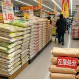 Les prix du riz au Japon retombent sous 3 500 yens le sac de 5 kg, signe d’un excédent de stocks