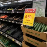 Promotions sur les fruits et légumes : les producteurs alertent sur un modèle qui fragilise les filières