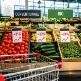 Prix des fruits et légumes : l'envolée continue pèse sur le panier et la santé des foyers