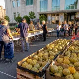 Creil : sept tonnes de melons redistribuées gratuitement face à la précarité alimentaire
