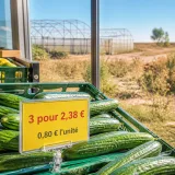 Concombre à 0,80 € chez Lidl : la promo qui met les producteurs sous pression