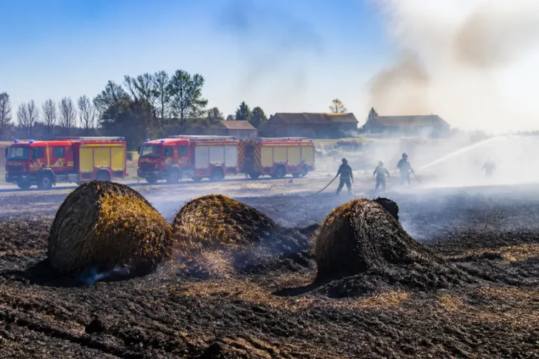 Incendie près de Mortrée : vingt hectares de chaumes et de paille détruits lors de travaux agricoles