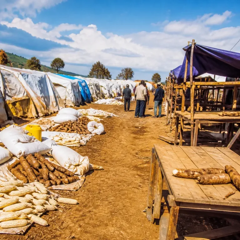 Crise alimentaire en RD Congo : conflits, déplacements et flambée d'Ebola aggravent le pouvoir d'achat des ménages