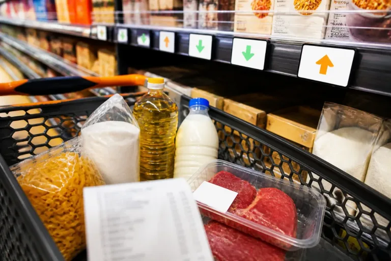 L’indice FAO recule en juin : quels effets possibles sur le panier des ménages en France ?